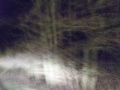 dunkles_land_Fahrt_01_01