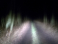 dunkles_land_Fahrt_01_02