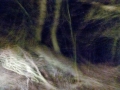 dunkles_land_Fahrt_01_03