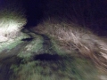 dunkles_land_Fahrt_03