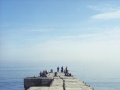segel_odessa_mole