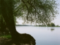 granica_Landschaft_Oder_links
