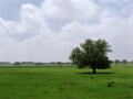 granica_Landschaft_Wiese_links