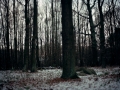 wuestungen_001