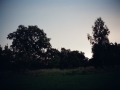 wuestungen_002
