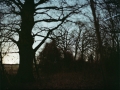 wuestungen_005